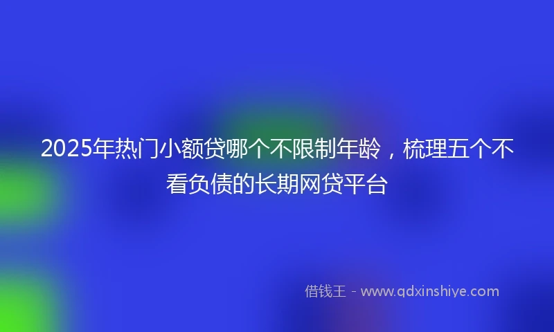2025年热门小额贷哪个不限制年龄，梳理五个不看负债的长期网贷平台