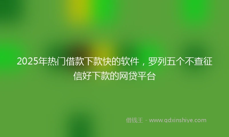 2025年热门借款下款快的软件，罗列五个不查征信好下款的网贷平台