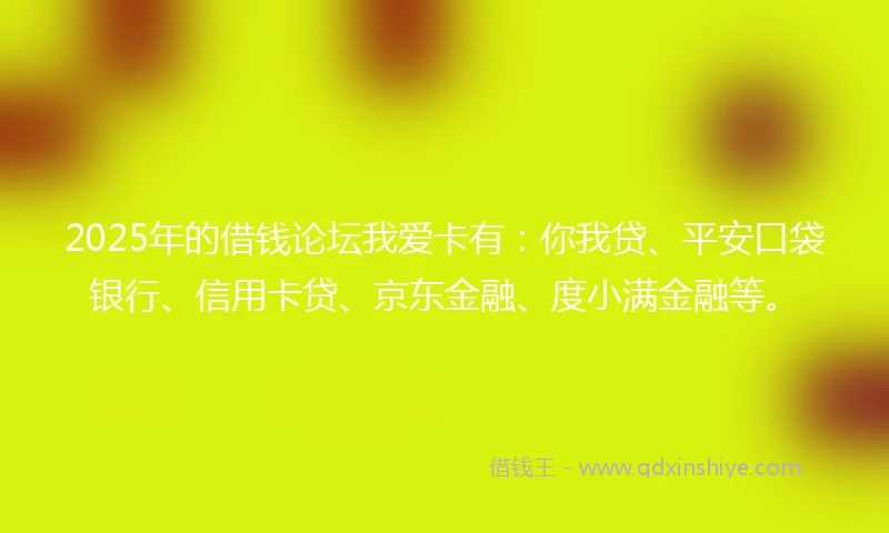2025年的借钱论坛我爱卡有：你我贷、平安口袋银行、信用卡贷、京东金融、度小满金融等。