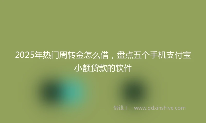2025年热门周转金怎么借，盘点五个手机支付宝小额贷款的软件