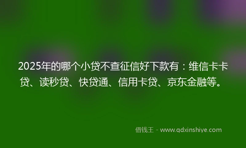 2025年的哪个小贷不查征信好下款有：维信卡卡贷、读秒贷、快贷通、信用卡贷、京东金融等。