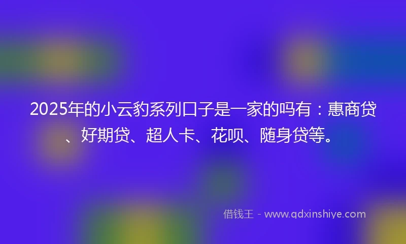 2025年的小云豹系列口子是一家的吗有：惠商贷、好期贷、超人卡、花呗、随身贷等。