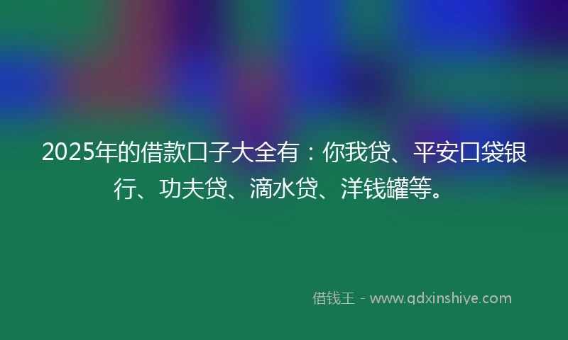 2025年的借款口子大全有：你我贷、平安口袋银行、功夫贷、滴水贷、洋钱罐等。