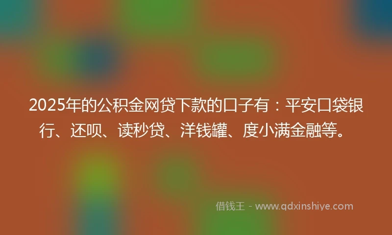 2025年的公积金网贷下款的口子有：平安口袋银行、还呗、读秒贷、洋钱罐、度小满金融等。