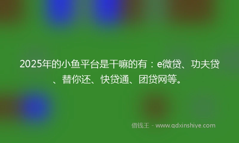 2025年的小鱼平台是干嘛的有：e微贷、功夫贷、替你还、快贷通、团贷网等。