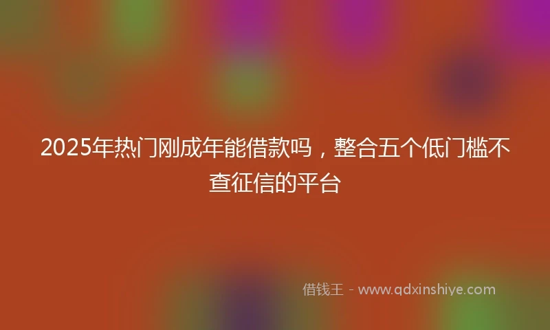 2025年热门刚成年能借款吗，整合五个低门槛不查征信的平台