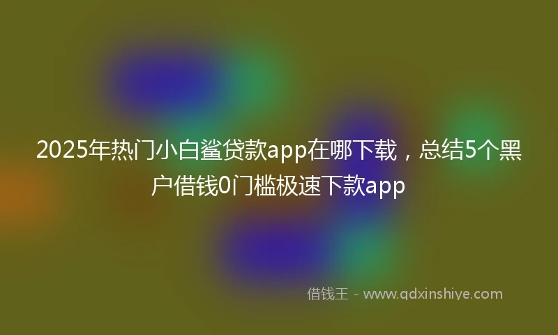 2025年热门小白鲨贷款app在哪下载，总结5个黑户借钱0门槛极速下款app