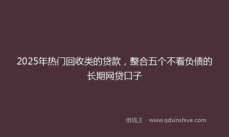 2025年热门回收类的贷款，整合五个不看负债的长期网贷口子