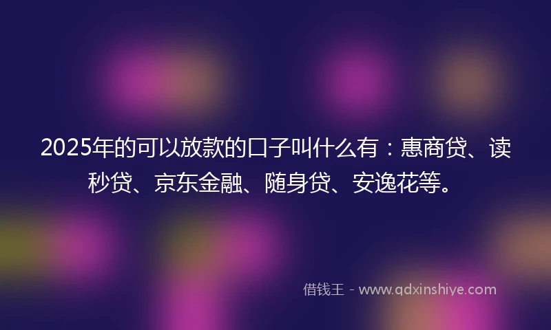 2025年的可以放款的口子叫什么有：惠商贷、读秒贷、京东金融、随身贷、安逸花等。