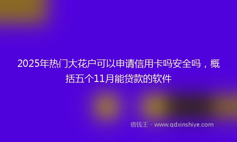 2025年热门大花户可以申请信用卡吗安全吗，概括五个11月能贷款的软件