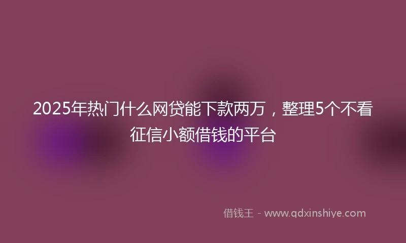 2025年热门什么网贷能下款两万，整理5个不看征信小额借钱的平台