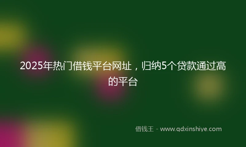 2025年热门借钱平台网址，归纳5个贷款通过高的平台