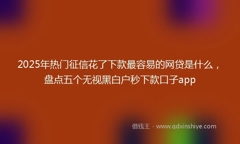 2025年热门征信花了下款最容易的网贷是什么，盘点五个无视黑白户秒下款口子app