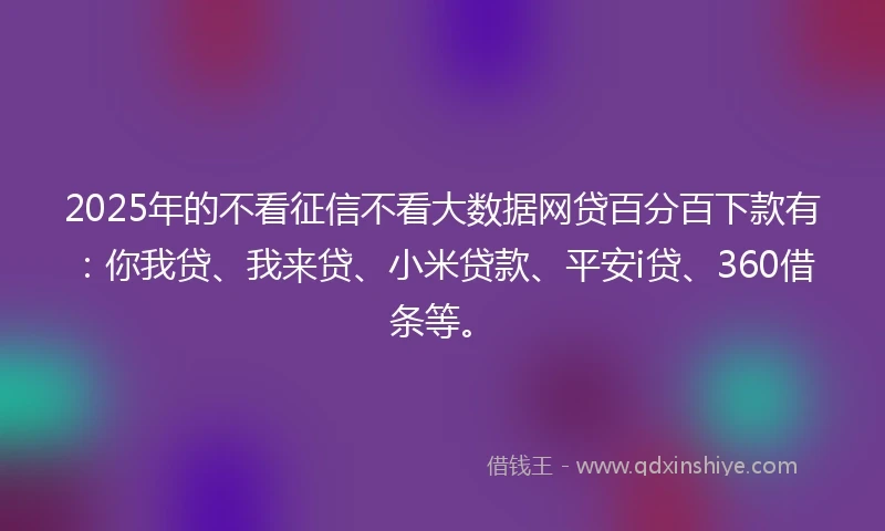 2025年的不看征信不看大数据网贷百分百下款有：你我贷、我来贷、小米贷款、平安i贷、360借条等。
