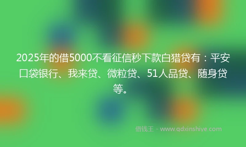 2025年的借5000不看征信秒下款白猎贷有：平安口袋银行、我来贷、微粒贷、51人品贷、随身贷等。