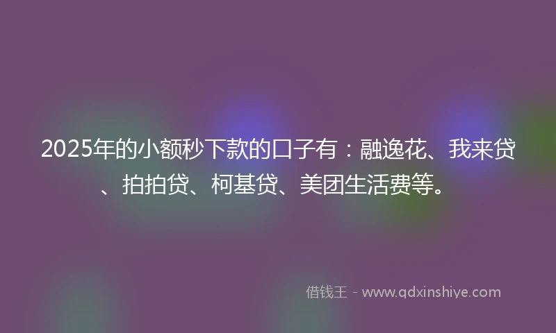 2025年的小额秒下款的口子有：融逸花、我来贷、拍拍贷、柯基贷、美团生活费等。