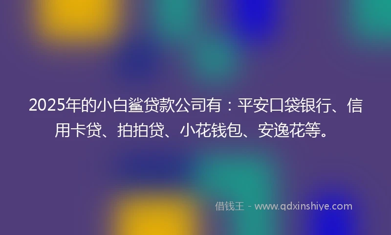 2025年的小白鲨贷款公司有：平安口袋银行、信用卡贷、拍拍贷、小花钱包、安逸花等。