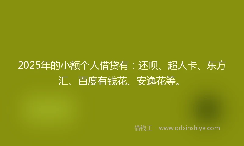 2025年的小额个人借贷有：还呗、超人卡、东方汇、百度有钱花、安逸花等。