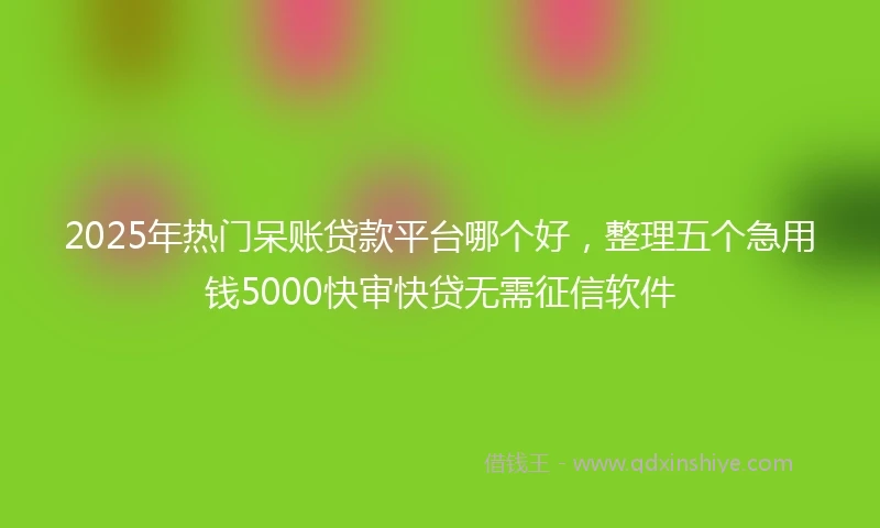 2025年热门呆账贷款平台哪个好,整理五个急用钱5000快审快贷无需征信软件