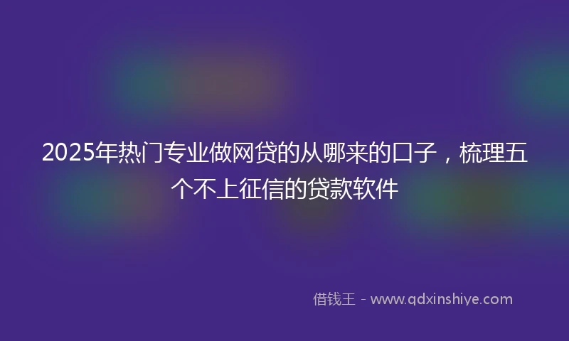 2025年热门专业做网贷的从哪来的口子，梳理五个不上征信的贷款软件