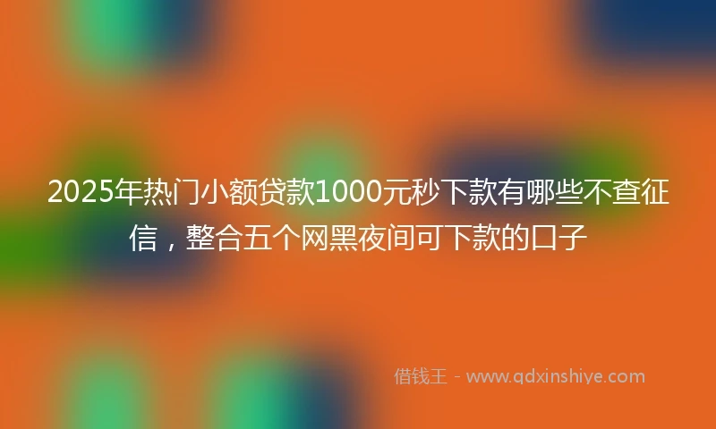 2025年热门小额贷款1000元秒下款有哪些不查征信，整合五个网黑夜间可下款的口子