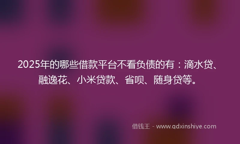 2025年的哪些借款平台不看负债的有：滴水贷、融逸花、小米贷款、省呗、随身贷等。