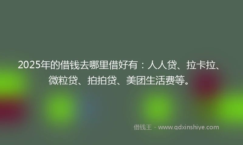 2025年的借钱去哪里借好有：人人贷、拉卡拉、微粒贷、拍拍贷、美团生活费等。