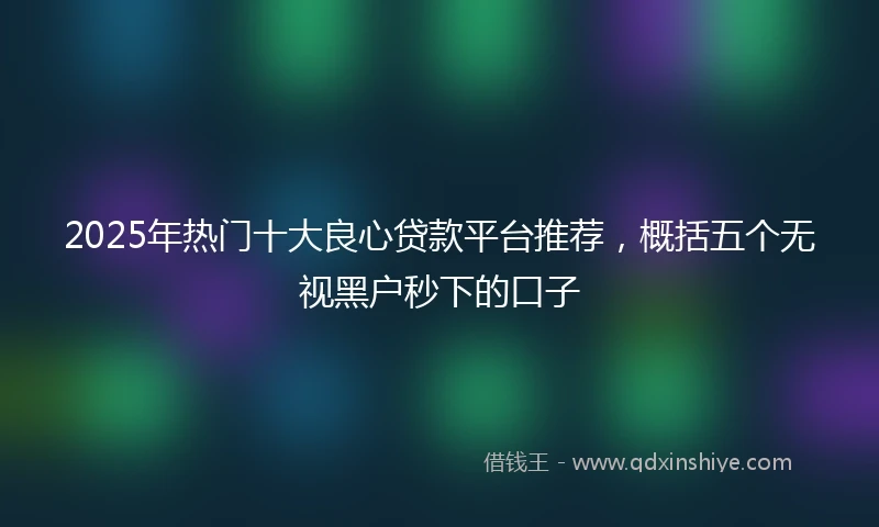 2025年热门十大良心贷款平台推荐，概括五个无视黑户秒下的口子