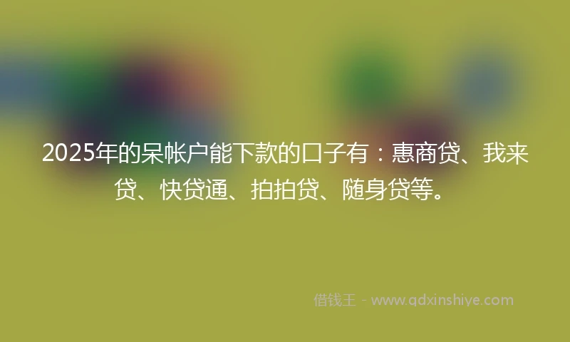 2025年的呆帐户能下款的口子有：惠商贷、我来贷、快贷通、拍拍贷、随身贷等。