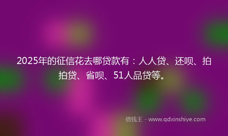 2025年的征信花去哪贷款有：人人贷、还呗、拍拍贷、省呗、51人品贷等。