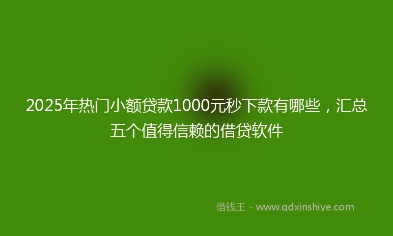 2025年热门小额贷款1000元秒下款有哪些，汇总五个值得信赖的借贷软件