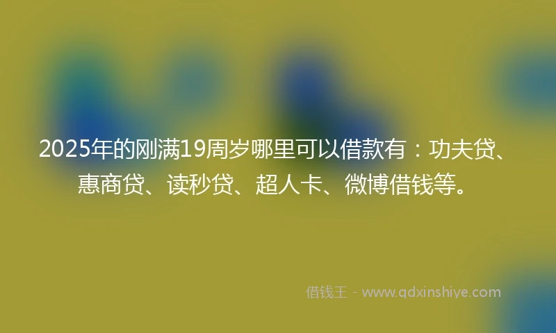2025年的刚满19周岁哪里可以借款有：功夫贷、惠商贷、读秒贷、超人卡、微博借钱等。