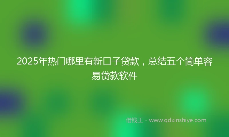 2025年热门哪里有新口子贷款，总结五个简单容易贷款软件