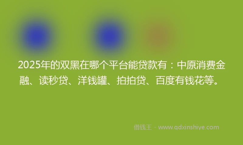 2025年的双黑在哪个平台能贷款有：中原消费金融、读秒贷、洋钱罐、拍拍贷、百度有钱花等。