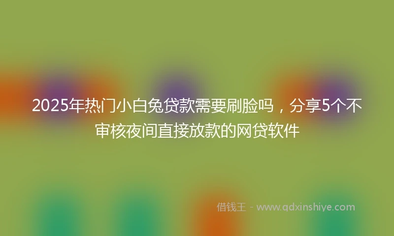 2025年热门小白兔贷款需要刷脸吗，分享5个不审核夜间直接放款的网贷软件