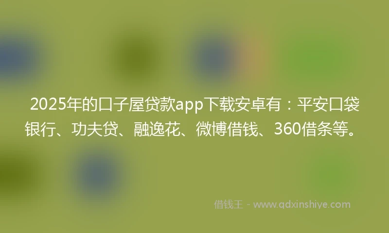 2025年的口子屋贷款app下载安卓有：平安口袋银行、功夫贷、融逸花、微博借钱、360借条等。