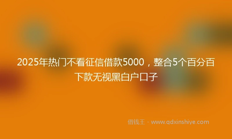 2025年热门不看征信借款5000，整合5个百分百下款无视黑白户口子