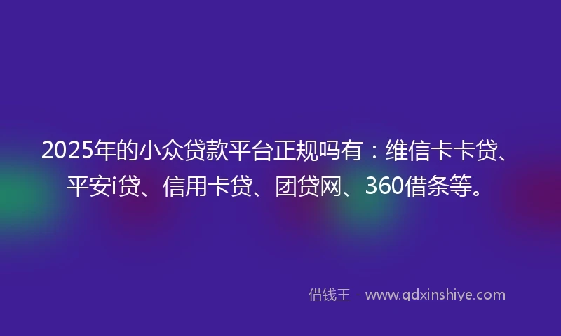 2025年的小众贷款平台正规吗有：维信卡卡贷、平安i贷、信用卡贷、团贷网、360借条等。