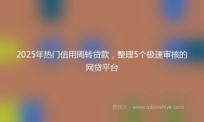 2025年热门信用周转贷款，整理5个极速审核的网贷平台