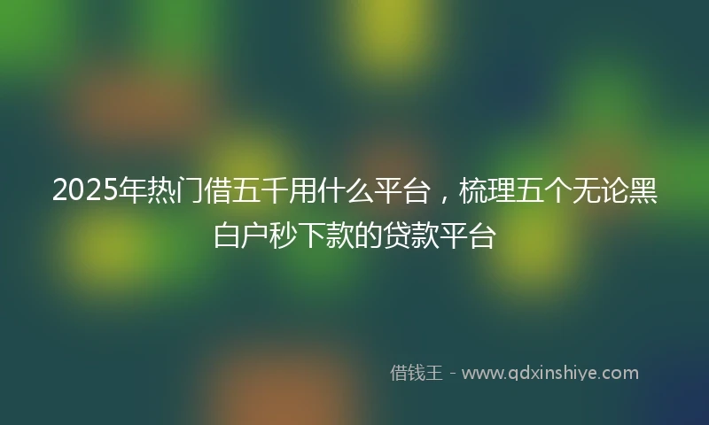 2025年热门借五千用什么平台，梳理五个无论黑白户秒下款的贷款平台