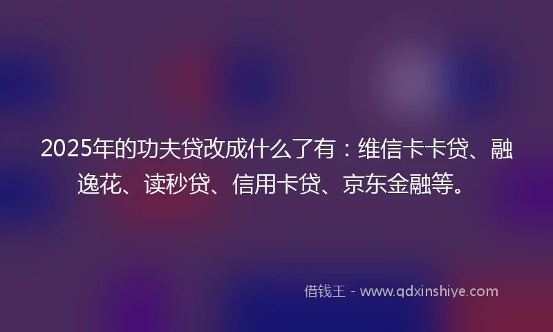 2025年的功夫贷改成什么了有：维信卡卡贷、融逸花、读秒贷、信用卡贷、京东金融等。