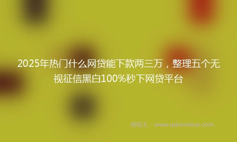 2025年热门什么网贷能下款两三万，整理五个无视征信黑白100%秒下网贷平台
