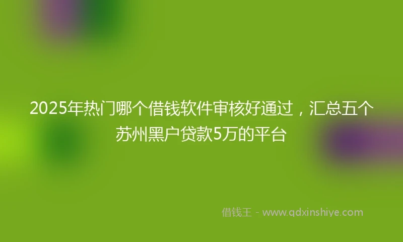2025年热门哪个借钱软件审核好通过，汇总五个苏州黑户贷款5万的平台