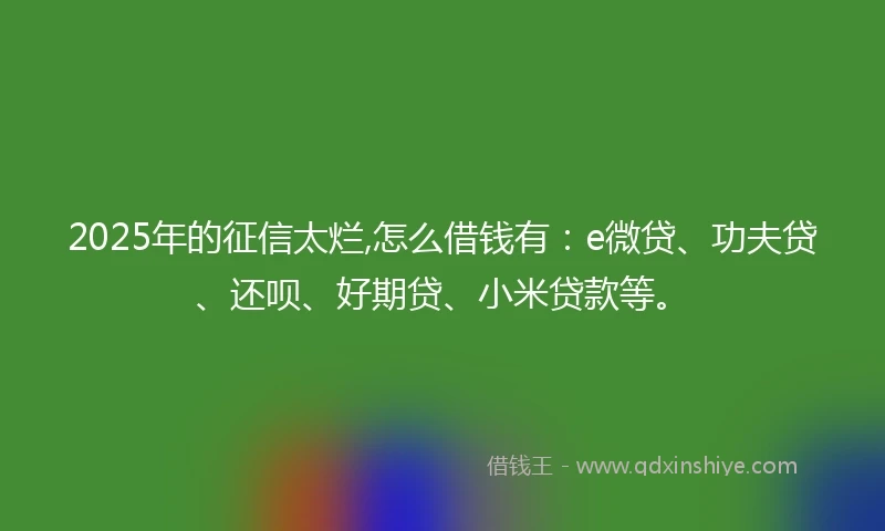2025年的征信太烂,怎么借钱有：e微贷、功夫贷、还呗、好期贷、小米贷款等。