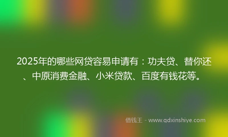2025年的哪些网贷容易申请有：功夫贷、替你还、中原消费金融、小米贷款、百度有钱花等。