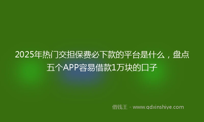 2025年热门交担保费必下款的平台是什么，盘点五个APP容易借款1万块的口子