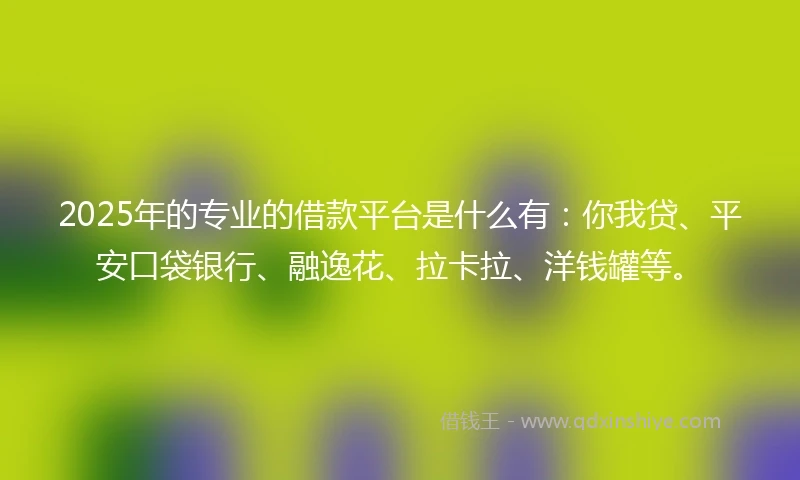 2025年的专业的借款平台是什么有：你我贷、平安口袋银行、融逸花、拉卡拉、洋钱罐等。