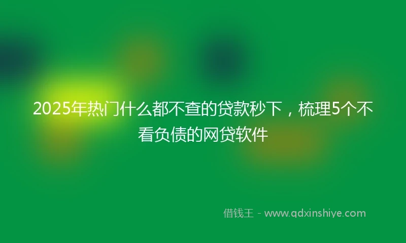 2025年热门什么都不查的贷款秒下，梳理5个不看负债的网贷软件