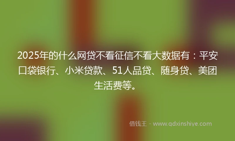 2025年的什么网贷不看征信不看大数据有：平安口袋银行、小米贷款、51人品贷、随身贷、美团生活费等。