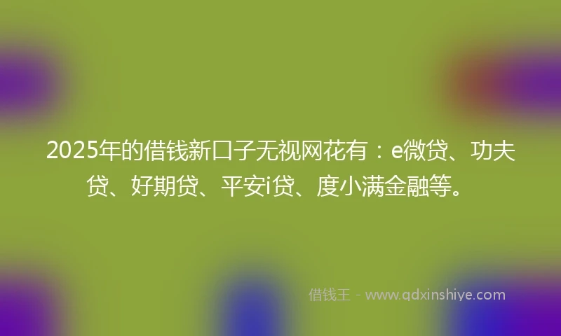 2025年的借钱新口子无视网花有：e微贷、功夫贷、好期贷、平安i贷、度小满金融等。